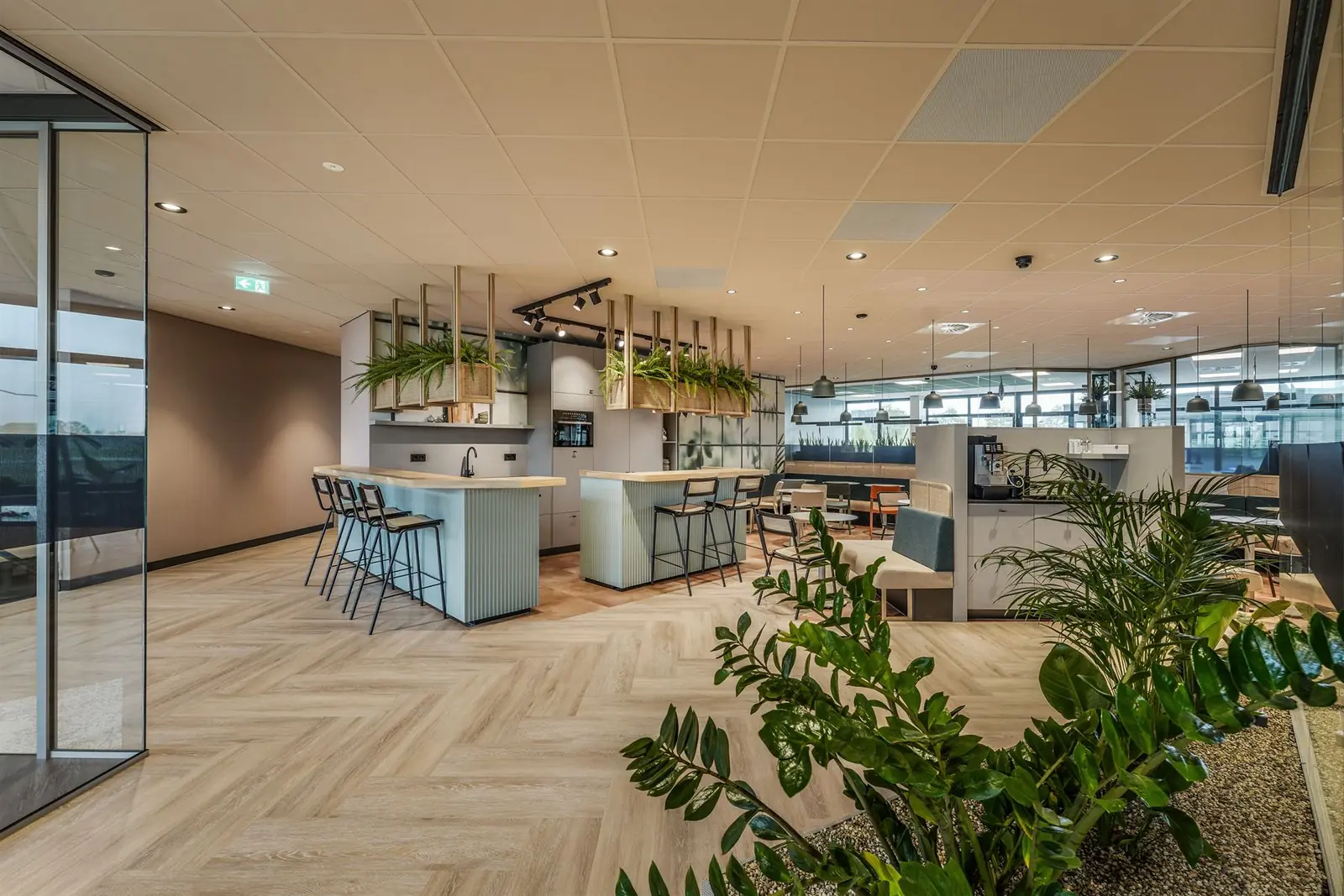 Kantoorbeplanting op maat