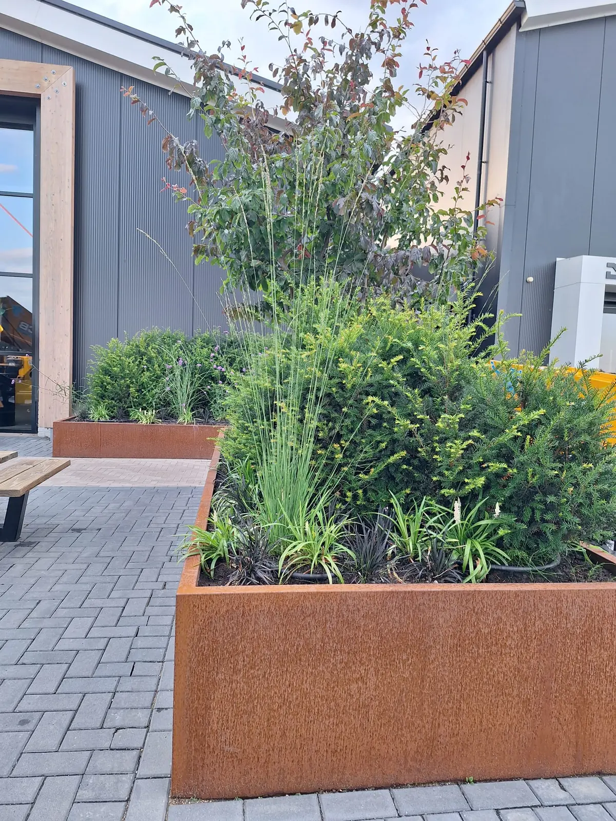 Hoekbak van cortenstaal met siergrassen en taxus op het terras bij Dalukt in Barneveld
