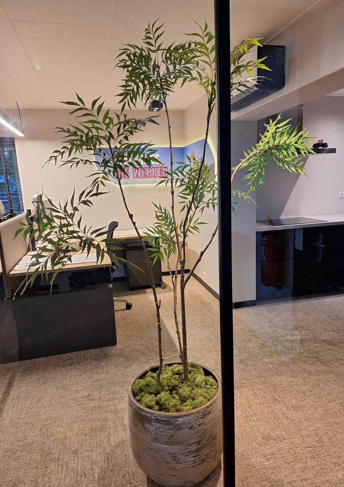 Kunstplant in keramische pot met moslaag in het kantoor van Dalukt in Barneveld