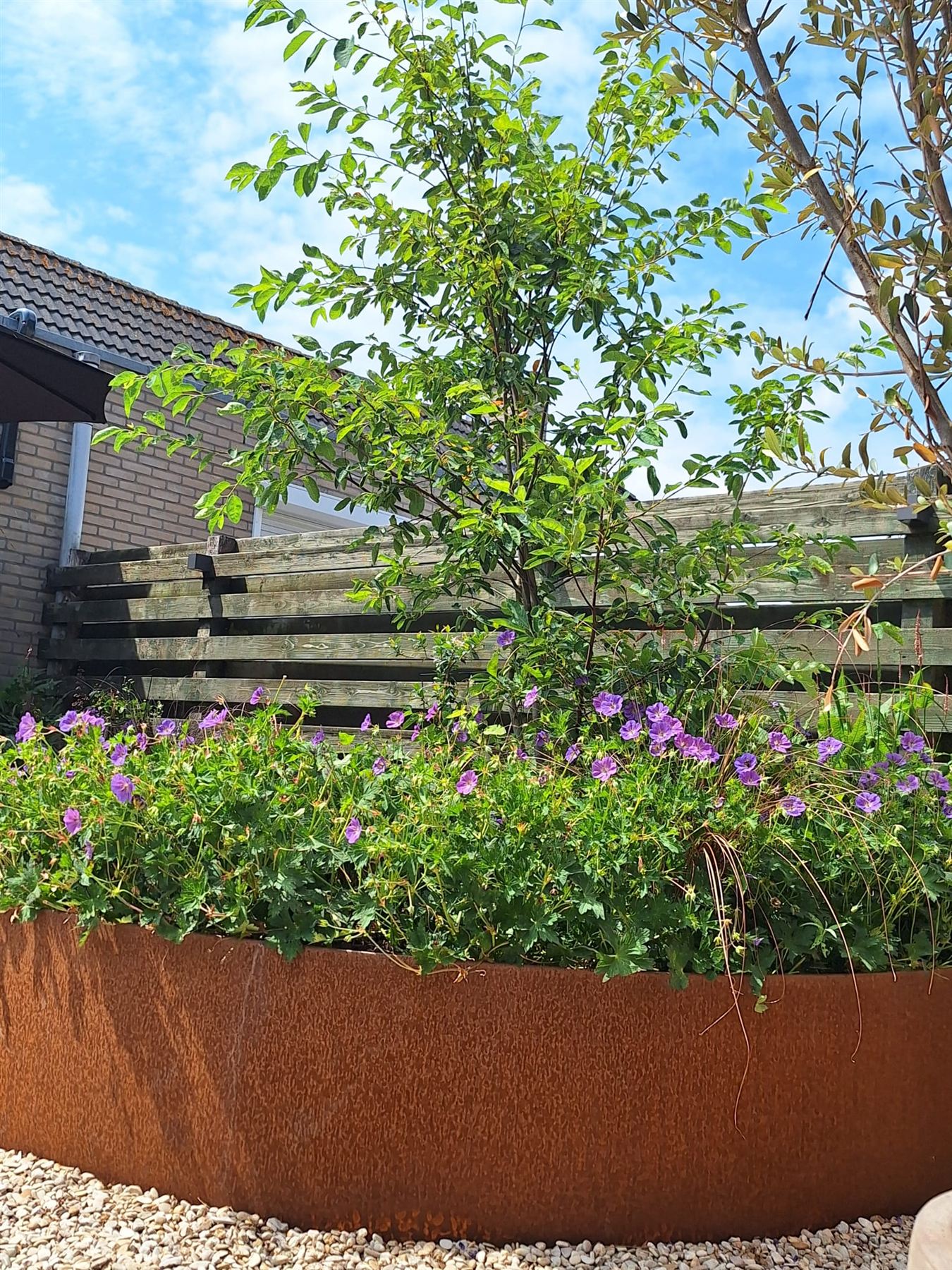 Tuin Scherpenzeel — beeld 2
