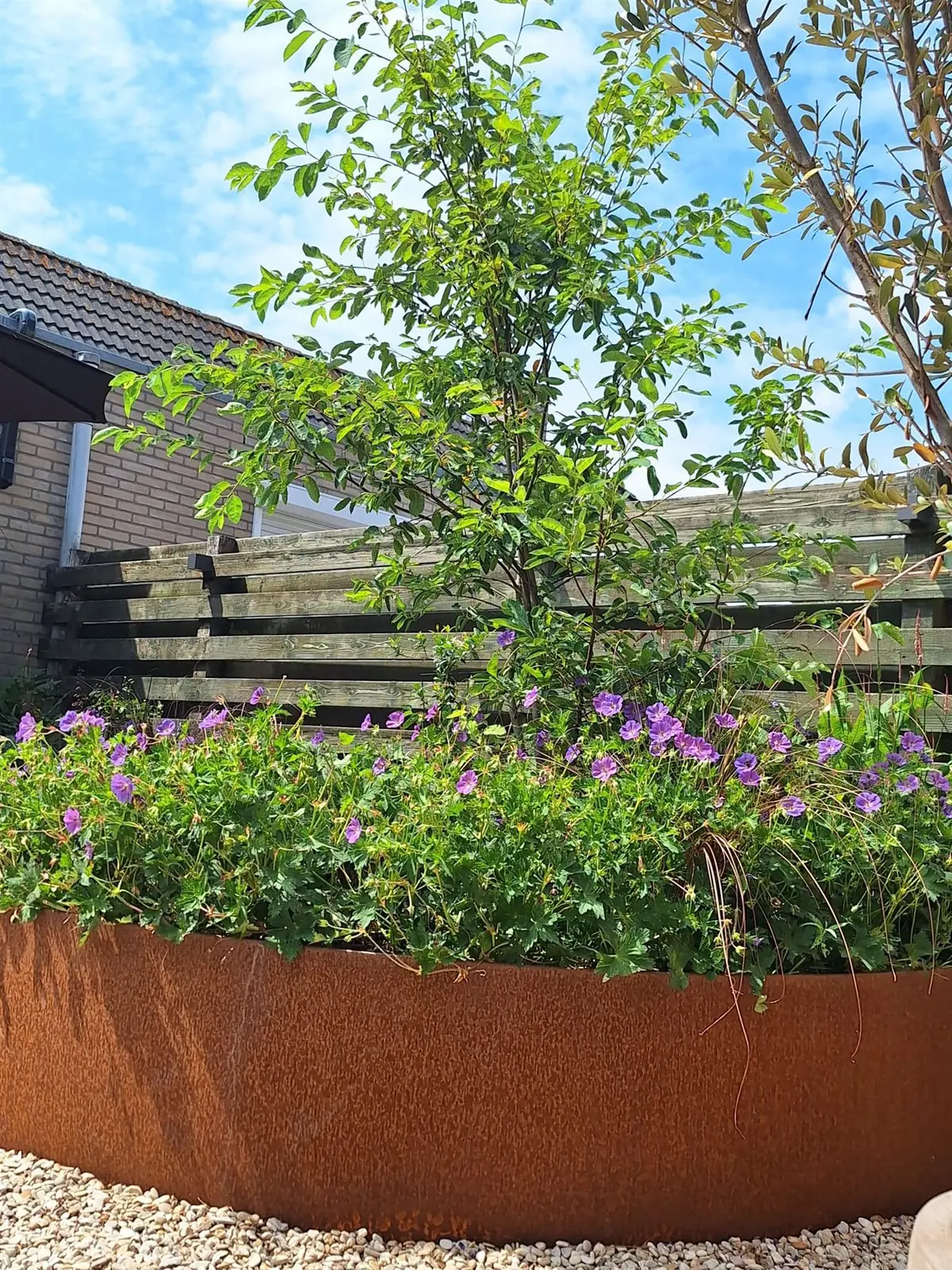 Tuin Scherpenzeel — beeld 2