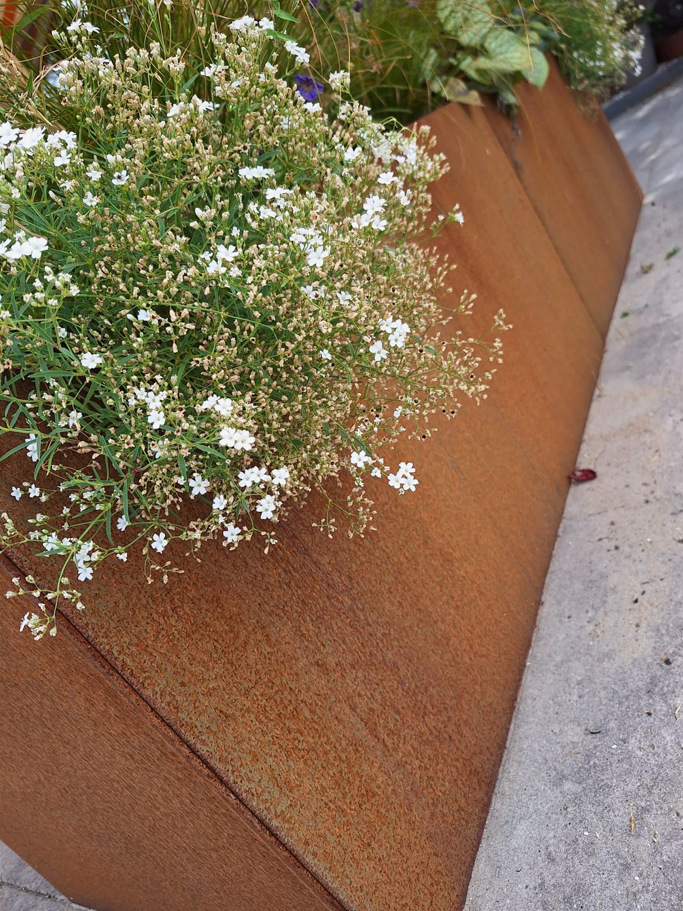Tuin Scherpenzeel — beeld 5