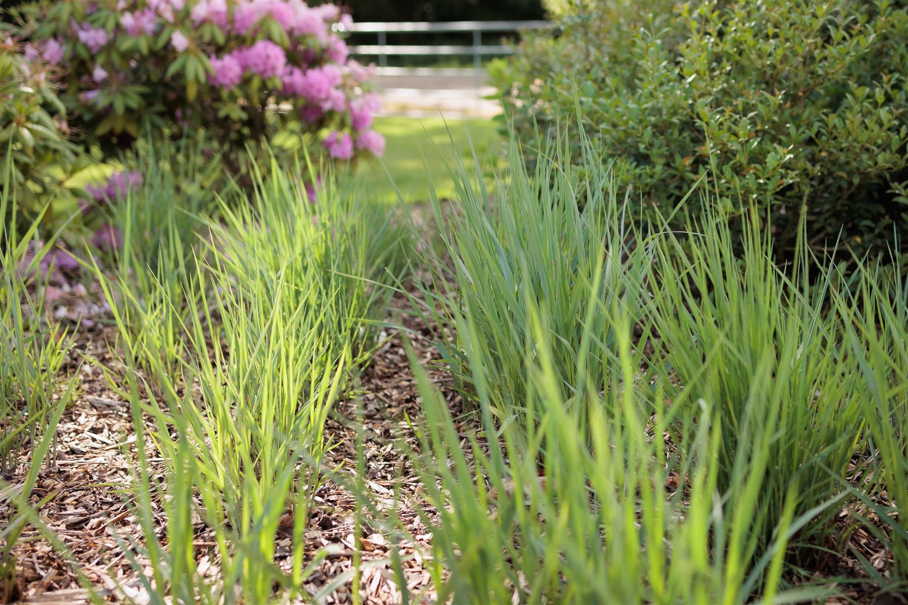 Tuin Woudenberg — beeld 5